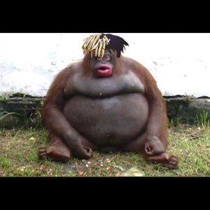 Meet your Posher, Hailey